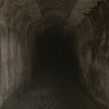 Buňka tunel Buňka tunel