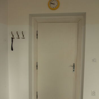 Non-state medical facilities