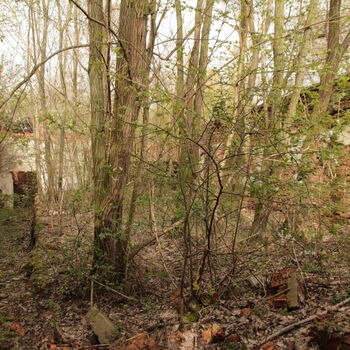 HQ Communications Centre HQ Communications Centre