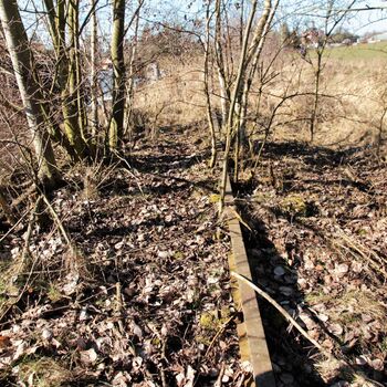 Pískálek u zarostlých kolejí Pískálek u zarostlých kolejí