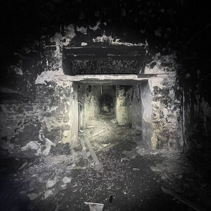 2025 German factory and freezer