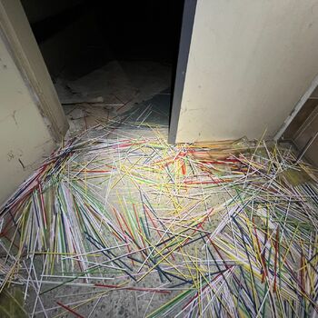 Schule im Freien 2022 - Teil 4 Schule im Freien 2022 - Teil 4