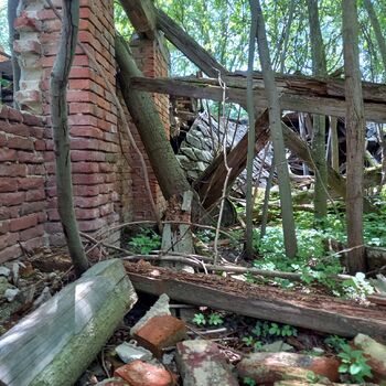 Hospitality at the trabanta