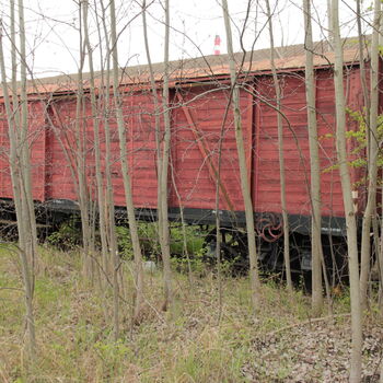 Cargo-Friedhof, nicht nur ein Bardot Cargo-Friedhof, nicht nur ein Bardot
