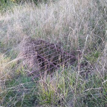 Pískovna na okraji Prahy