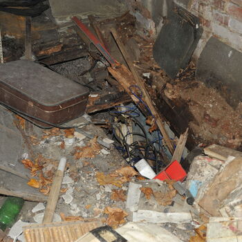 A grove in the Sudetenland.