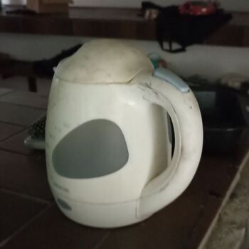 Militärische Verwaltung 2024