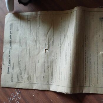 Léčebny pro mentálně postižené děti v Ostravici