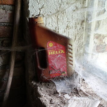 Už asi nevyjedou...