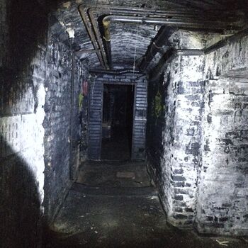 Urbane Legende Urbane Legende