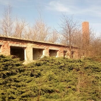 viaduct bridge structure landscape