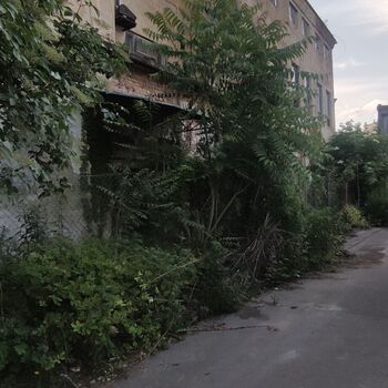 Typia Printing House 📜⏳🏚️