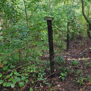 Dům v Praze obklopen šípky.