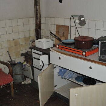 A grove in the Sudetenland.