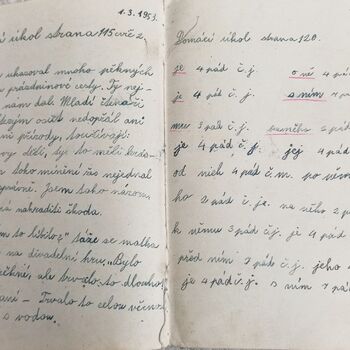 Spitzenschiff 9z10ti...