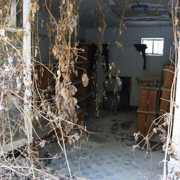 Wo ist der Graf geblieben? Das verlassene Schloss