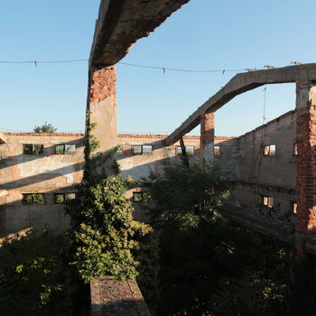 Landwirtschaftliche Fläche mit Hopfentrocknungsanlage 2023