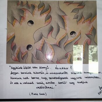 Accommodation complex at the campsite_2023