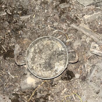 Abandoned Farmer's house