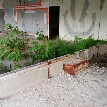 zeď Patio zeď Patio