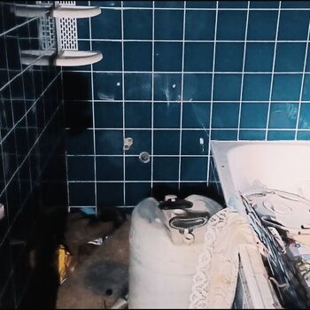 Former recreation centre 🏚️🌲🌲