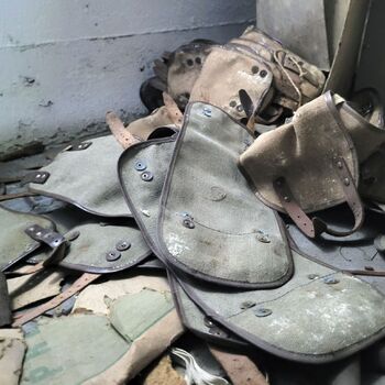 Ein Welpe mit Rüssel