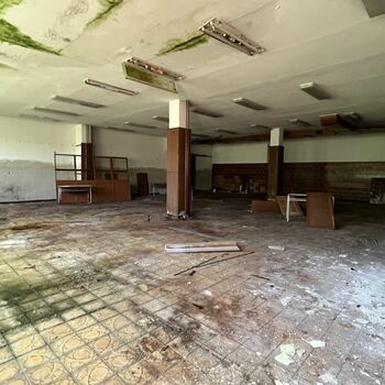 Schule im Freien 2022 - Teil 4 Schule im Freien 2022 - Teil 4