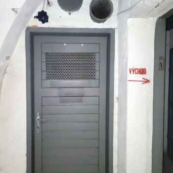 Ein Welpe mit Rüssel