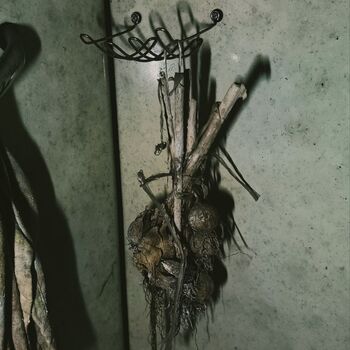 Doch eines Tages trennte sie der Tod ☠️🖤🕰️