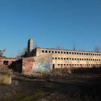 Riesiges Sparschwein