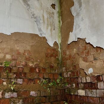 ɴᴇᴍᴏᴄɴɪᴄᴇ ɴᴇᴍᴏᴄɴɪᴄᴇ